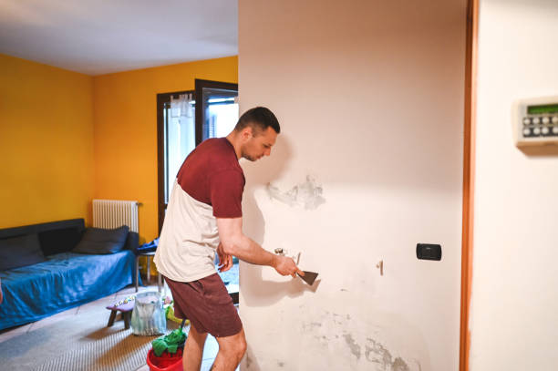 Best Affordable Mold Removal  in Palmyra, MO